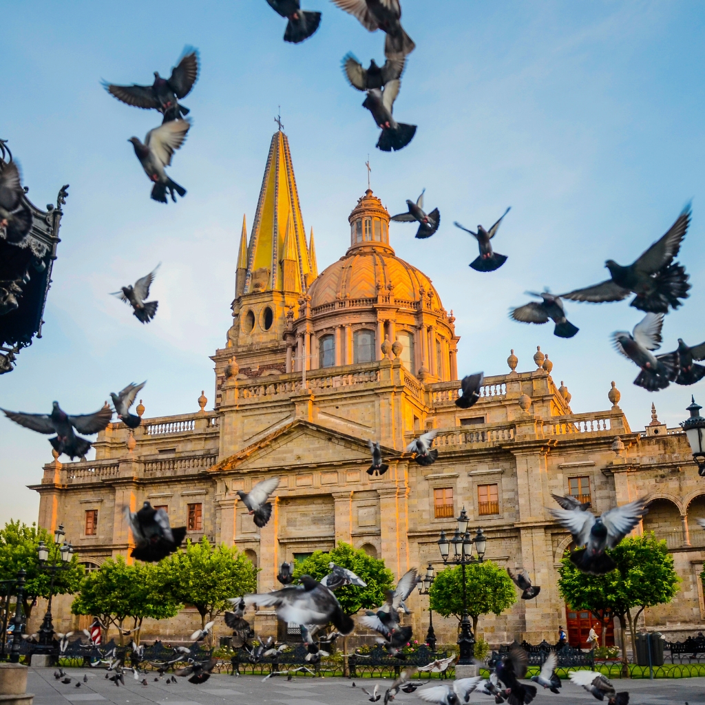 guadalajara jalisco conoce méxico